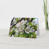 Cartes Pour Fêtes Annuelles Fleurs d'Apple (Dos)