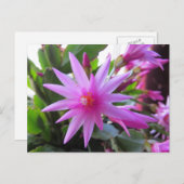 Cartes Pour Fêtes Annuelles Fleurs de cactus de Pâques (Devant / Derrière)