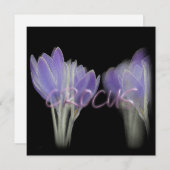 CARTES POUR FÊTES ANNUELLES FLEURS DE CROCUS (Devant / Derrière)