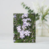 Cartes Pour Fêtes Annuelles Fleurs de fenêtre violet clair (Debout devant)