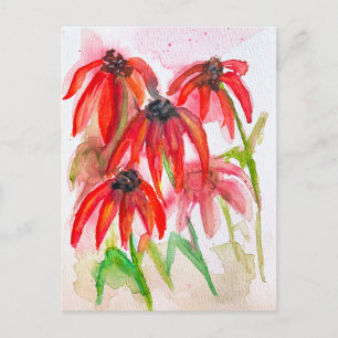 Cartes Pour Fêtes Annuelles Fleurs d'échinacée rouges à l'aquarelle