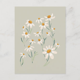 Cartes Pour Fêtes Annuelles Fleurs Delicées Chamomille Aesthétique Sauvage