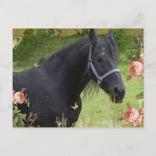 Cartes Pour Fêtes Annuelles Fleurs d'été
