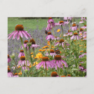 Cartes Pour Fêtes Annuelles Fleurs et Fleurs sauvages colorés do-it-yourself c