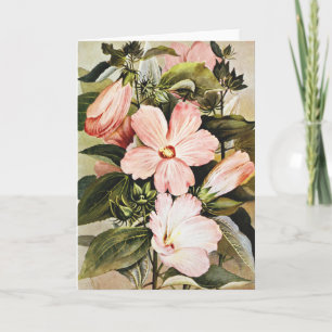 Cartes Pour Fêtes Annuelles Fleurs sauvages Hibiscus vintage aquarelle