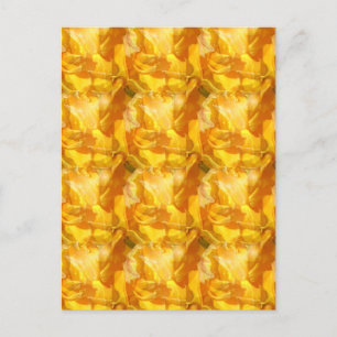Cartes Pour Fêtes Annuelles floraison collective