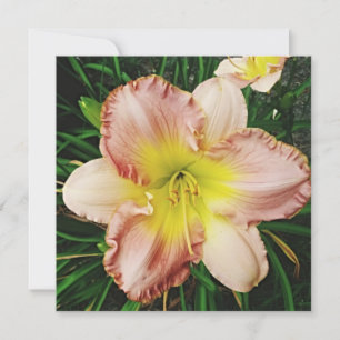 Cartes Pour Fêtes Annuelles Floraisons printanières