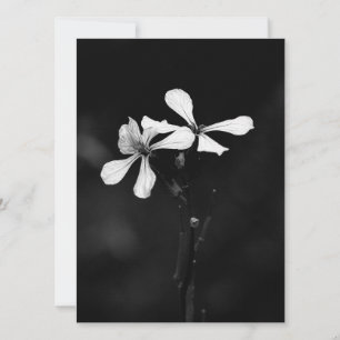 Cartes Pour Fêtes Annuelles floral noir et blanc minimal