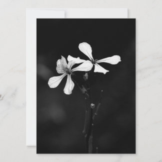 Cartes Pour Fêtes Annuelles floral noir et blanc minimaliste