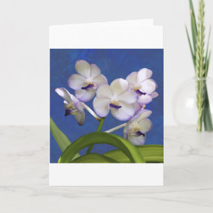 Cartes Pour Fêtes Annuelles Floral Plante Colorful Photographie Art