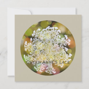 Cartes Pour Fêtes Annuelles Flore sauvage de dentelle de la reine Anne sur Cor