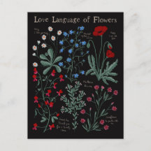 Floriographe Amour langue des fleurs botanique