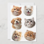 Cartes Pour Fêtes Annuelles Fluffing Around (Devant)