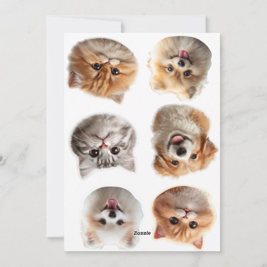 Cartes Pour Fêtes Annuelles Fluffing Around (Dos)