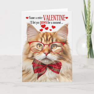 Cartes Pour Fêtes Annuelles Fluffy Orange Tabby Chat Humour Saint-Valentin