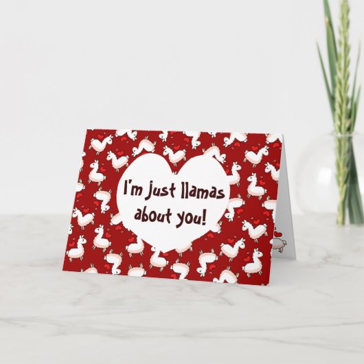 Cartes Pour Fêtes Annuelles Folie de lama (Devant)
