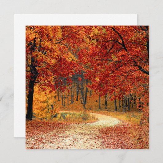 Cartes Pour Fêtes Annuelles Forêt d'automne (Devant / Derrière)