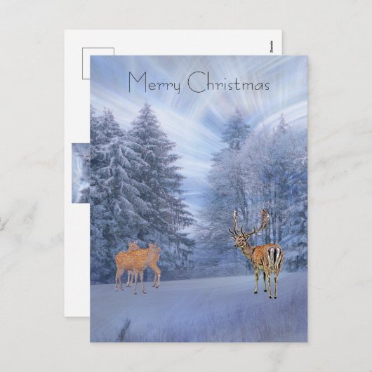 Cartes Pour Fêtes Annuelles Forêt hivernale magique avec cerf, Noël vacances (Devant / Derrière)