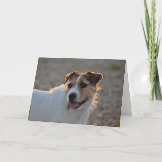 Cartes Pour Fêtes Annuelles Forme de Valentine le chien (Devant)