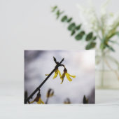 Cartes Pour Fêtes Annuelles Forsythie (Debout devant)