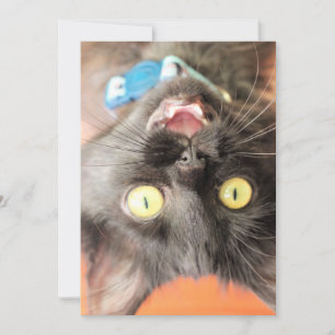 Cartes Pour Fêtes Annuelles Fou bébé