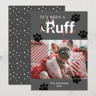 Cartes Pour Fêtes Annuelles Fouetter année gris foncé chien photo Noël