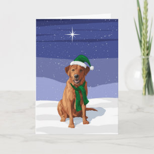 Cartes Pour Fêtes Annuelles Fox Red Labrador Retriever Chien de Noël