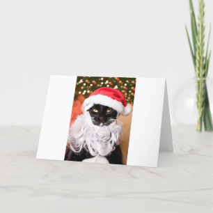 Cartes Pour Fêtes Annuelles Franny Claus Père Noël triste Kitty