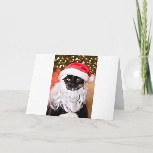Cartes Pour Fêtes Annuelles Franny Claus Père Noël triste Kitty (Devant)