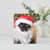 Cartes Pour Fêtes Annuelles Franny Claus Sad Père Noël Kitty (Debout devant)