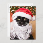 Cartes Pour Fêtes Annuelles Franny Claus Sad Père Noël Kitty (Devant / Derrière)