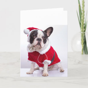 Cartes Pour Fêtes Annuelles French Bulldog à Santa Costume For Christmas