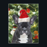 Cartes Pour Fêtes Annuelles French Bulldog Christmas Tree Ornaments Snowman<br><div class="desc">Cute French Bulldog with Christmas Tree Ornaments Snow Man in background.</div>
