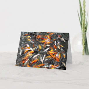 Cartes Pour Fêtes Annuelles Frénésie alimentaire de carpes koi