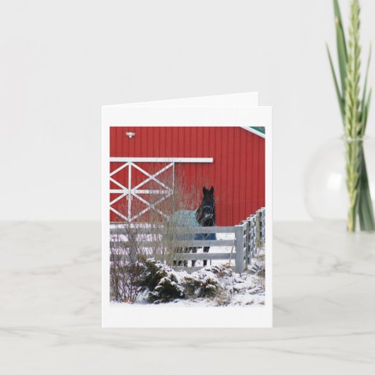 Cartes Pour Fêtes Annuelles Frésilien dans la neige (Devant)