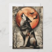 Cartes Pour Fêtes Annuelles Fright & Delight Halloween (Devant)