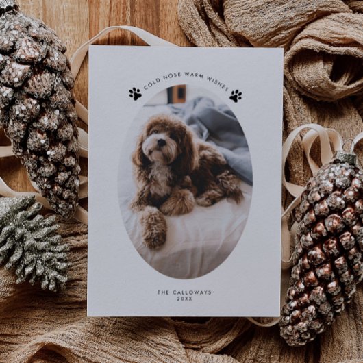 Cartes Pour Fêtes Annuelles Froid Nez Chaleureux Voeux Chien Photo Noël