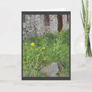 Cartes Pour Fêtes Annuelles . .from le parent. 3