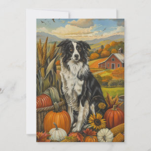 Cartes Pour Fêtes Annuelles Frontière Collie Chien Moisson d'automne Thanksgiv
