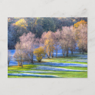 Cartes Pour Fêtes Annuelles Frost du matin du dartmoor