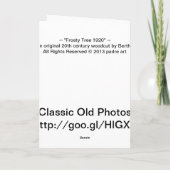 Cartes Pour Fêtes Annuelles Frosty Tree 1920 (Dos)