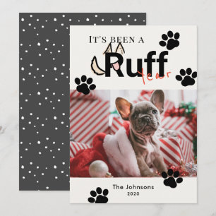 Cartes Pour Fêtes Annuelles Fruit Année Crème Chien blanc Photo Noël
