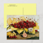 CARTES POUR FÊTES ANNUELLES FRUITS DE SAISON / CHERRIES ET CARNATIONS (Devant / Derrière)