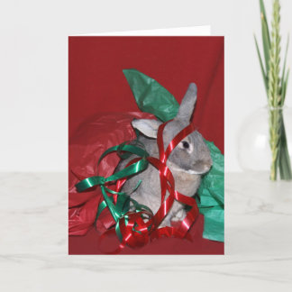 Cartes Pour Fêtes Annuelles Frustration d'enveloppe de cadeau de Noël