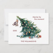 Cartes Pour Fêtes Annuelles Fun Christmas Tree Dangereux Photo de chat (Devant)