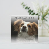 Cartes Pour Fêtes Annuelles Fun Feliz Navidog | Photo Noël (Debout devant)