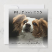 Cartes Pour Fêtes Annuelles Fun Feliz Navidog | Photo Noël (Devant)