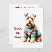 Cartes Pour Fêtes Annuelles Fun Soft Coated Wheaten Terrier Sweat de Noël (Devant / Derrière)