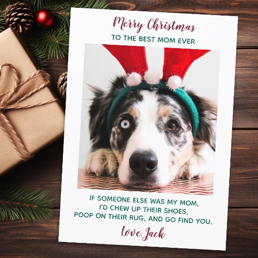 Cartes Pour Fêtes Annuelles Funky Custom Pet Photo Chien Maman Joyeux Noël Hol