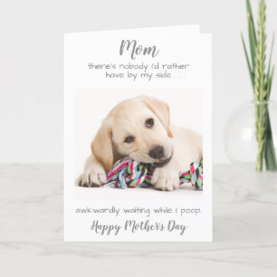 Cartes Pour Fêtes Annuelles Funky Personnalisé Chien Maman Animaux de compagni